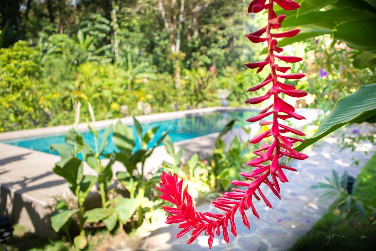 Hotel Casa Merlin Puerto Viejo de Talamanca Екстериор снимка