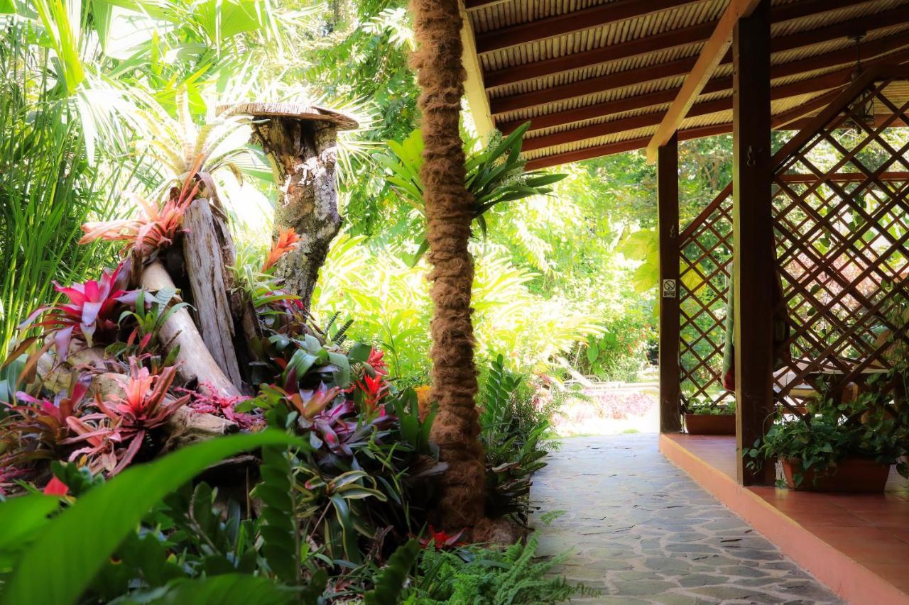 Hotel Casa Merlin Puerto Viejo de Talamanca Екстериор снимка