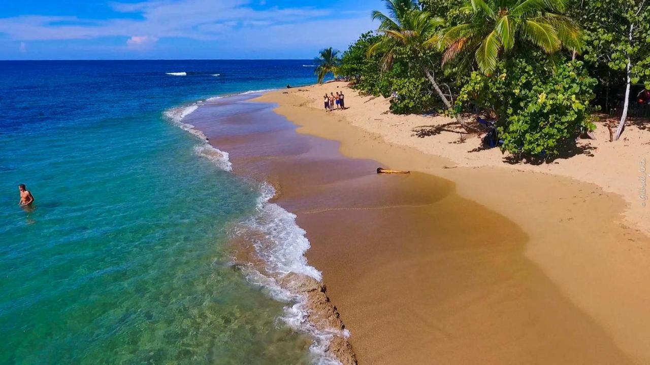 Hotel Casa Merlin Puerto Viejo de Talamanca Екстериор снимка