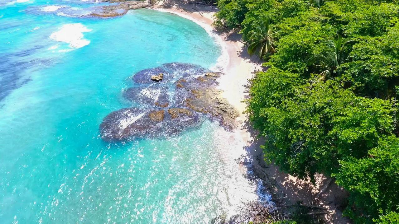 Hotel Casa Merlin Puerto Viejo de Talamanca Екстериор снимка