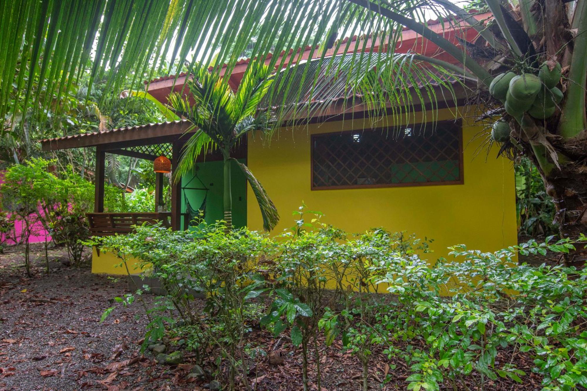 Hotel Casa Merlin Puerto Viejo de Talamanca Стая снимка